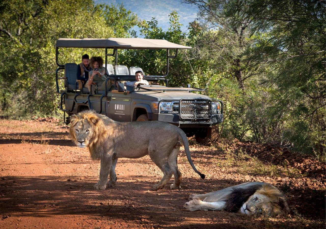 Babohi At Qwabi Private Game Reserve By Newmark Bela-Bela Luaran gambar